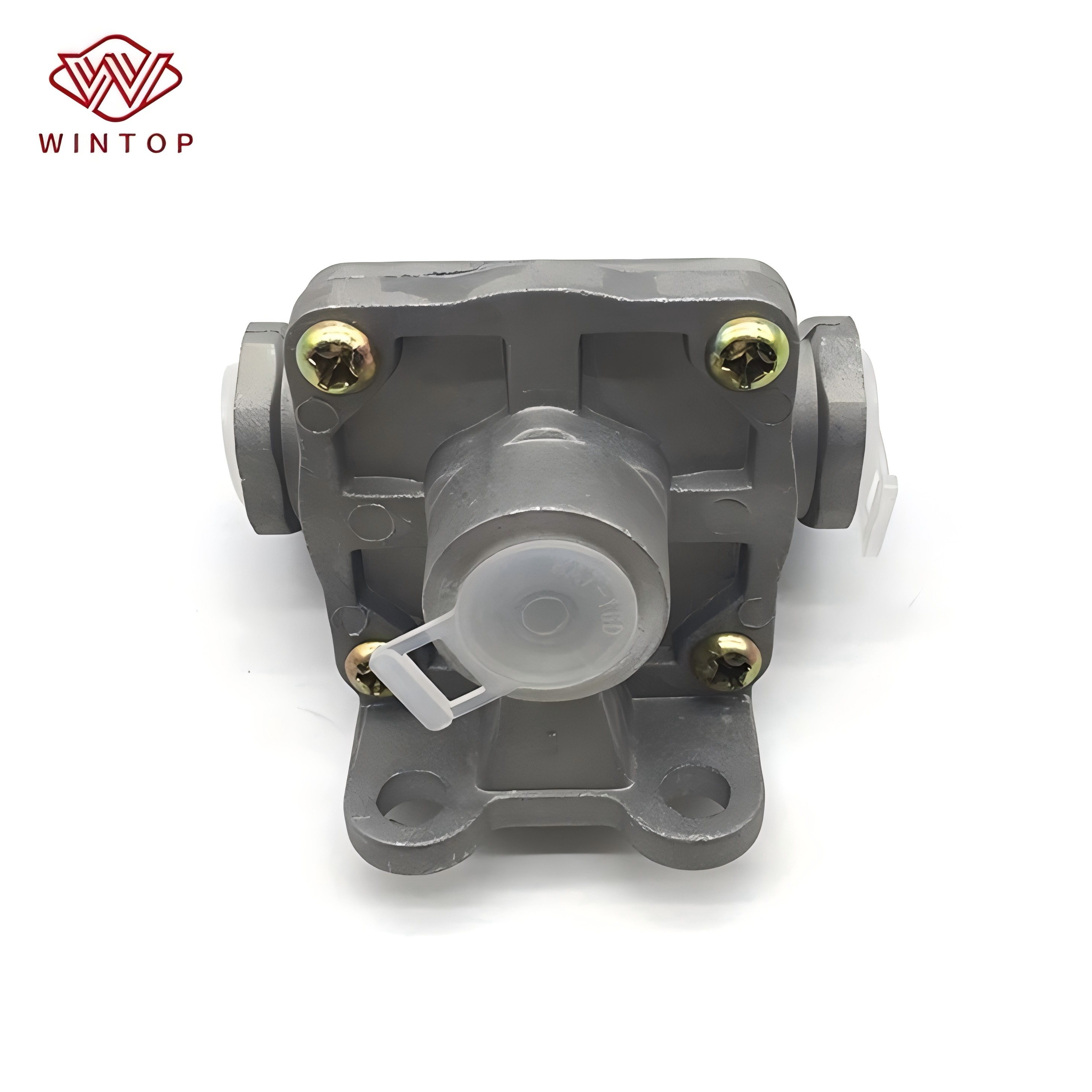 Truck Brake System Quick Release Air Valve  For IVECO