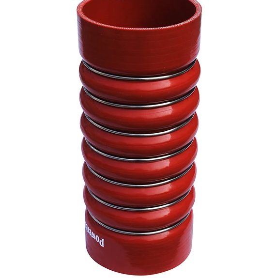 Silicone Hose 5010315483 RENAULT	